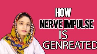 Nerve Impulse | How Nerve Impulse is Generated | RMP, Action potential, Propagation and Synapse.