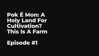 Pok É Mon: A Holy Land For Cultivation? This Is A Farm EP1-10 FULL | 宝可梦：修炼圣地？我这是农场啊