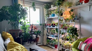 JUNE PLANT UPDATES!!!