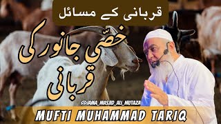 Mufti Muhammad Tariq | Khassi Janwar ki qurbani | Qurbani k masail | OUR ISLAMIC IDEOLOGY