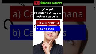 42 🐾 QUIZ: ¿Con qué FRECUENCIA hay que BAÑAR a un PERRO? 🐶|QuieroAMiPerro ❤️