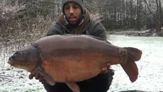 Churchwood Fisheries Snow Carp