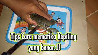 CARA MATIKAN KEPITING SIMPEL BANGET