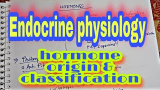 Endocrine physiology. origin and classifications of hormones.