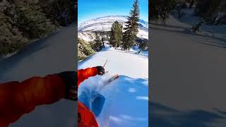 bluebird powder skiing in Jackson hole!