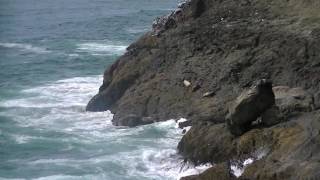 Heceta Head from Sea Lion Caves - Florence, Oregon