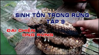 Sinh Tồn Trong Rừng Tập 9 - Bắt Ong Bầu Cuối Mùa | Lim Xanh