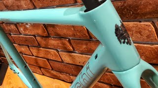 Bianchi Specialissima custom painting