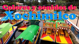 Recorrido por Xochimilco hermoso| Como llegar