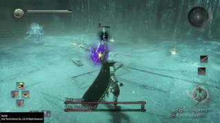 Nioh - Nobunaga and Yuki Onna Post Game Boss Try 37