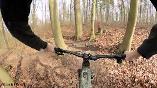 Koblenzer Stadtwald MTB Trails - SNAKE TRAIL (blue Line)