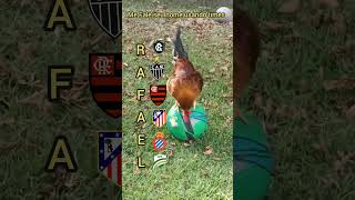 Fale seu nome usando times ⚽🐓#shorts #futebol #video