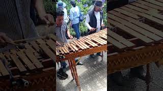 El Caimán un domingo familiar en el bosque de Xochimilco.