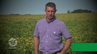 Tillage Practices for Pigweed Control with Tim Couser