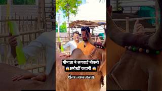 गौमाता ने लगवाई नौकरी 😱😱#storytelling #emotionalstory #cowvideos #viralshorts