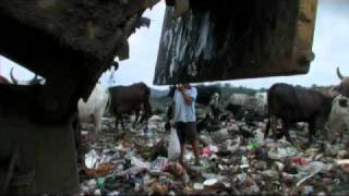 [Documentaire] Piedra y Miel (bande-annonce 1'10)