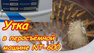 Утка в перосъёмной машине NT 600