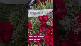 FLORES PARA DONA MARIA MULAMBO #pombagira