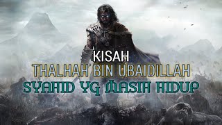 KISAH HEROIK SAHABAT NABI THALHAH BIN UBAIDILLAH |SYAHID YANG MASIH HIDUP