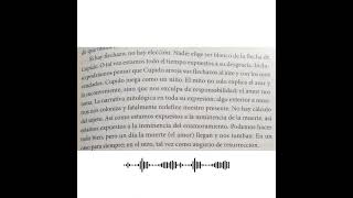 "FLECHAZOS AL AIRE" en EL AMOR ES IMPOSIBLE de Dario SZTAJNSZRAJBER