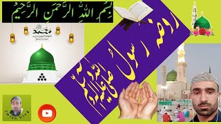 روضہ  رسولُﷺ  کی زیارت❣️🍁Roza Rasool ke zairat💫🤲