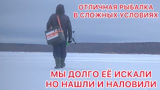 ИСКАЛИ рыбу ПОЛ ДНЯ и НАШЛИ / РЫБАЛКА на МОЖАЙСКОМ Водохранилище