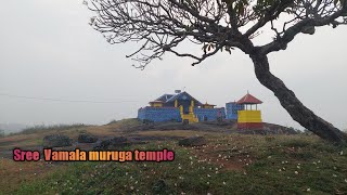 SREE VAMALA MURUGA TEMPLE | PALAKKAD