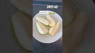 days45 #caloriedeficit #calories #calorieburningworkout #rejim #diet #youtube #youtubeshorts