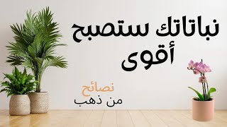 وداعا لذبول و موت النباتات، نصائح من ذهب لتجنّب موت النباتات المنزلية. كورس زراعة منزلية