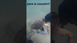 PESCA SUBMARINA CANGREJO AZUL INVASOR CAPTURADO QUE VA AL CALDERO