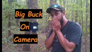 I FOUND MY TARGET BUCK ON CAMERA! (CREATING MINERAL SITE & MOCK SCRAPE)