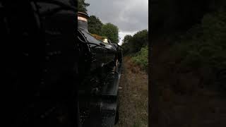 GWR 4953 'Pitchford Hall' at the Severn Valley Railway 2021