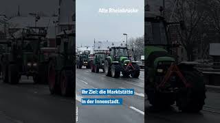 Jetzt ist Konstanz dran: Hunderte Landwirte protestieren in der Konzilstadt