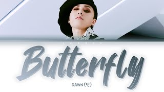 DAWN (던) - Butterfly (호랑나비) [Color Coded Lyrics/Han/Rom/Eng/가사]