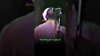 أسد 🦁 المنابر