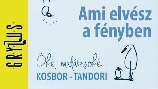 Kosbor – Tandori Dezső: Ami elvész a fényben (Oké, madárzsoké..., részlet)