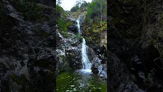 A secret canyon in Cyprus filled with glorious little and big waterfalls #cyprus #waterfall #nature