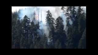 Big Wildfire on Dog Mountain Sproat Lake BC July 4th-8th 2015