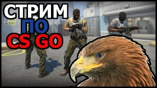 CS GO | НОЧНОЙ СТРИМ