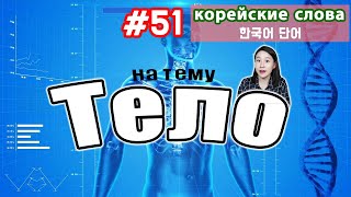 Корейские слова на тему "Тело"