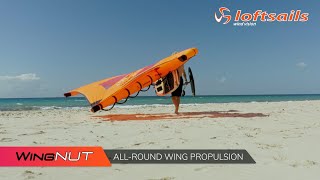 Loftsails Wingnut - All-Round Wing Propulsion