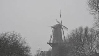 Sneeuw Feb 2021