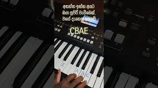 ඔයාගෙ පවුලෙ අය යාලුවො පුදුම කරවන්න.Best Piano Melodica #music_sir #keyboardnotes #piano #music