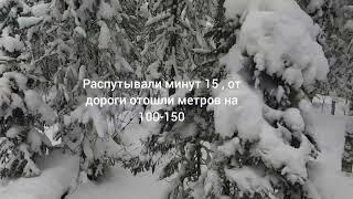 14.01.2024.С русской гончей охота на зайца , первый в 2024 на старый-новый год