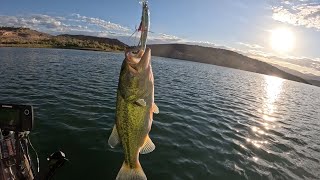 Echo Bay, Jackson Big Rig FD. Multi species day with lots of boils. #jacksonkayak #lakemeadfishing