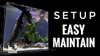 HOW TO: Prepare your FIRST AQUARIUM | 如何准备第一个鱼缸