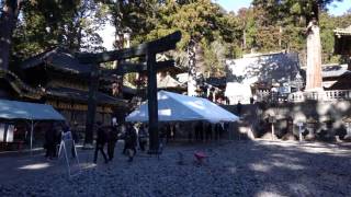 Nikko Toshogu Shrine. JAPAN