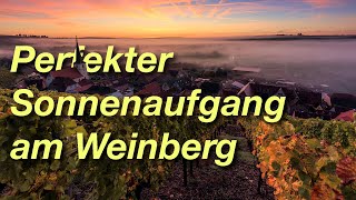 Nebel & Himmelsröte fotografieren | Perfekter Morgen in der Landschaftsfotografie