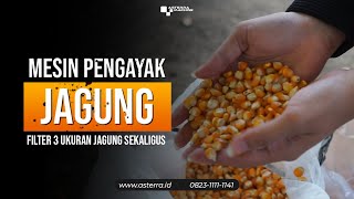 Ayak Jagung Bisa Filter 3 Ukuran Sekaligus? Pake Pengayak Ini!