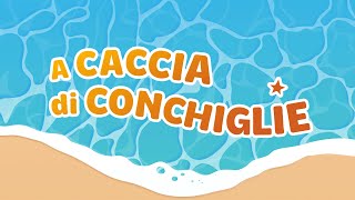 A caccia di conchiglie